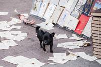 Кадр Хардкор