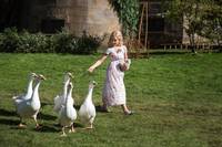 Кадр Золушка