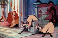 Кадр Леди и бродяга