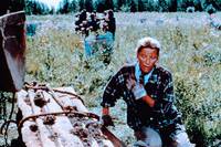 Кадр Гемоглобин