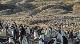 Кадр из фильма "Земля: Один потрясающий день" - 1