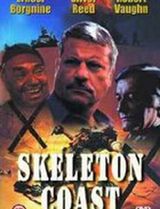 Берег скелетов