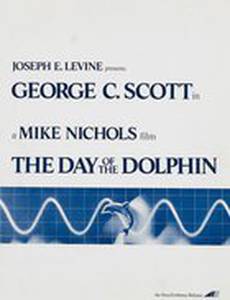 День дельфина