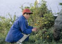 Кадр Фейерверк