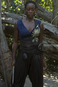 Кадр Череп и кости