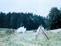 Кадр Осеннее молоко