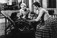 Кадр Нежная тайна