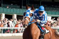 Кадр Чемпион