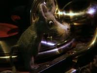 Кадр Бибигон