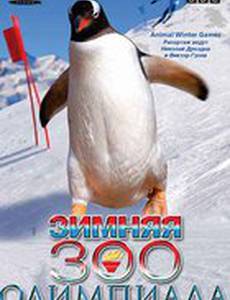 BBC: Зимняя Зоо олимпиада