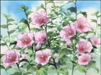 Кадр Дневник поездки в Иокогаму за покупками (видео)