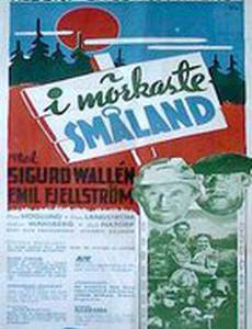 I mörkaste Småland