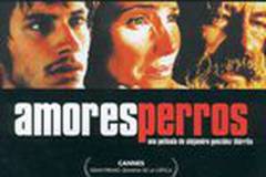 Сука-любовь