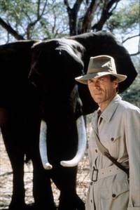 Кадр Белый охотник, черное сердце