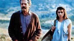 Кадр из фильма "Пчеловод" - 2