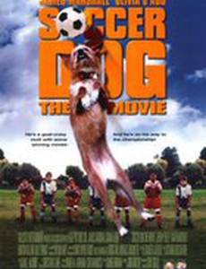 Король футбола