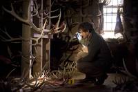 Кадр Ганнибал