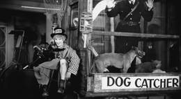 Кадр из фильма "Лошадиные перья" - 1