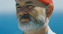 Кадр из фильма "Водная жизнь" - 1