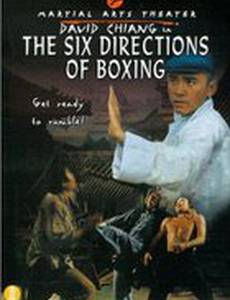 Шесть направлений ударов