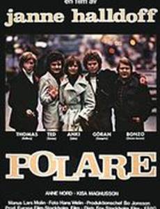Polare