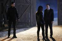 Кадр Агенты «Щ.И.Т.»