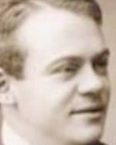 Viking Ringheim фото