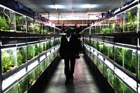 Кадр Холодная рыба