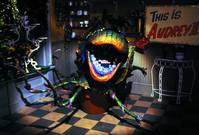 Кадр Лавка ужасов