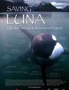 Saving Luna