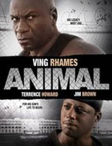 Животное (видео)