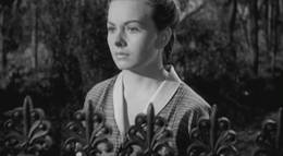 Кадр из фильма "Пинки" - 1