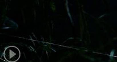 Фрагмент №5