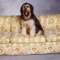 Кадр Женаты и с детьми