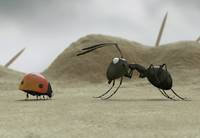 Кадр Букашки 3D. Приключение в Долине Муравьев