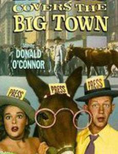 Francis Covers the Big Town