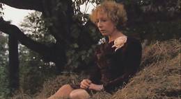 Кадр из фильма "Год Собаки" - 2