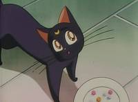 Кадр Красавица-воин Сейлор Мун Эс