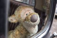 Кадр Кристофер Робин