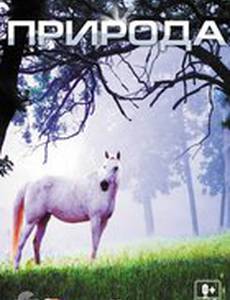 Природа