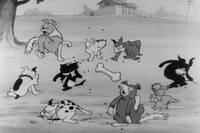 Кадр Просто собаки