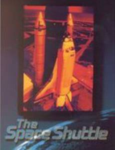 The Space Shuttle