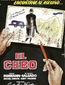 Это случилось при свете дня