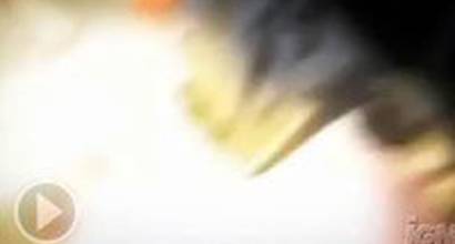 Международный трейлер