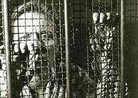 Кадр Допрос