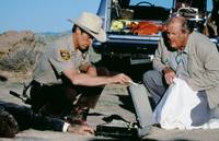 Кадр Белые пески