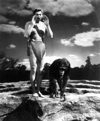 Кадр Тарзан находит сына