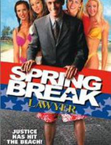 Адвокат на каникулы