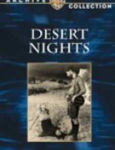 Desert Nights