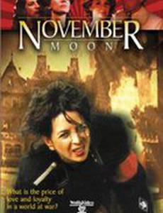 Ноябрьская луна